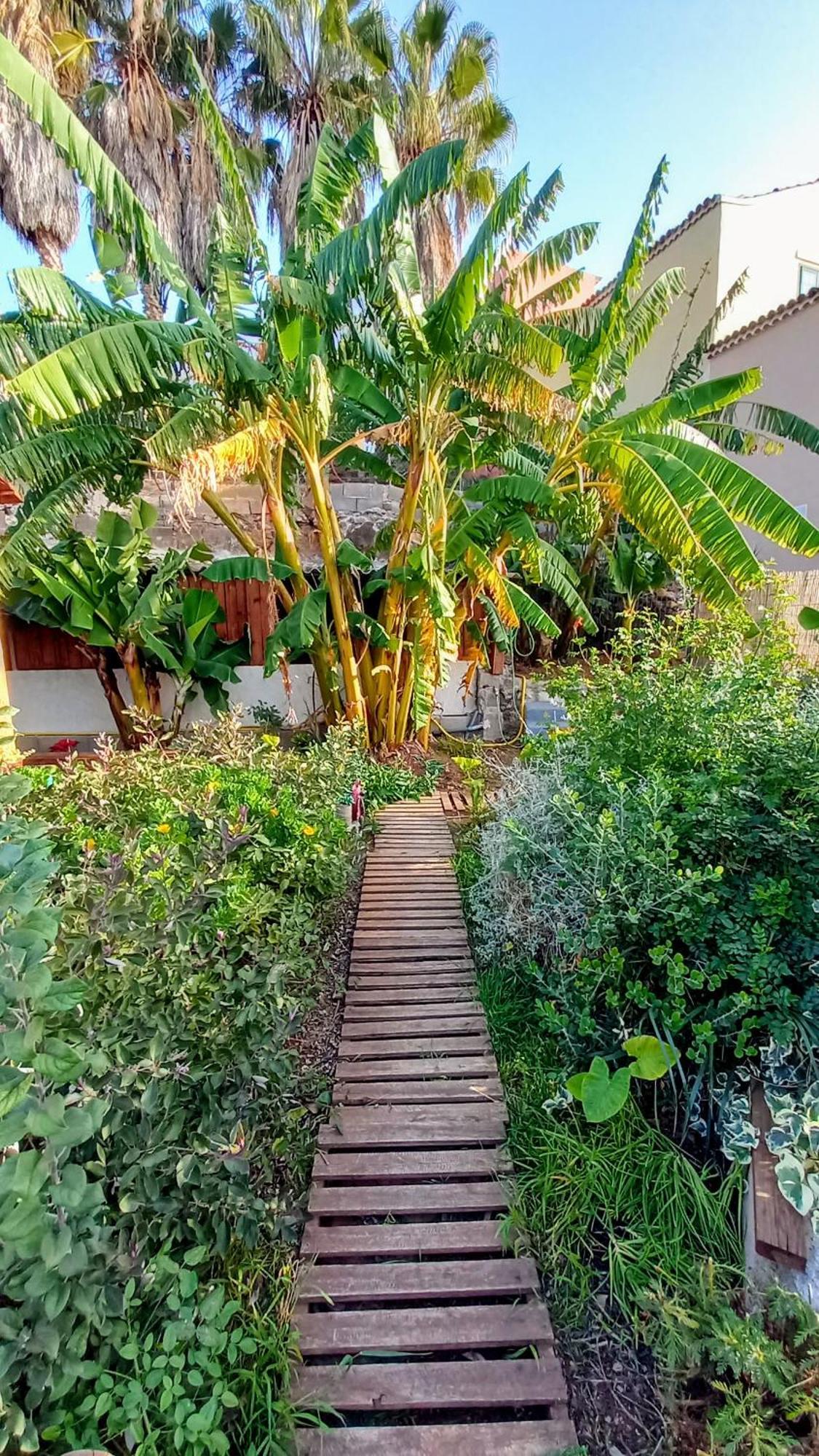 Finca Don Pedro Santa Cruz de Tenerife Eksteriør billede